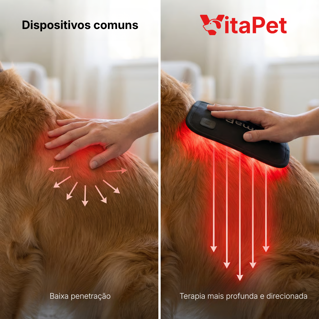 Comparativo: aparelhos comuns vs VitaPet