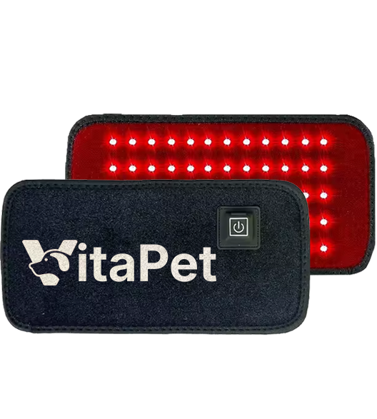 VitaPet — Tapete de Luz Vermelha